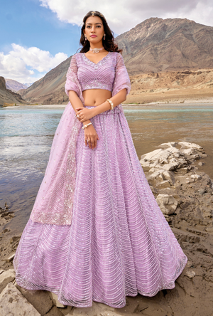 Purple Lehenga Choli