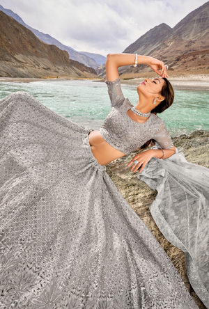 Silver Lehenga Choli