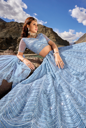 Blue Lehenga Choli