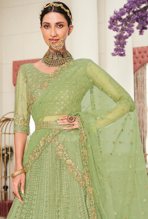 Green Lehenga Choli set