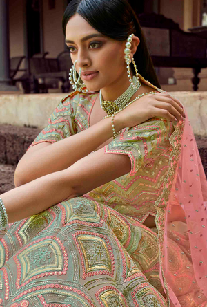 Green Lehenga Choli