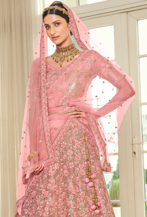 Pink Lehenga Choli set