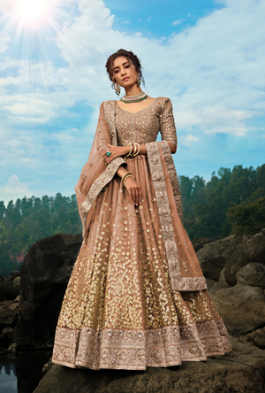 Brown Lehenga Choli