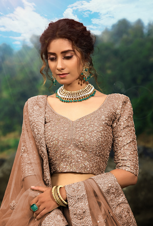 Brown Lehenga Choli