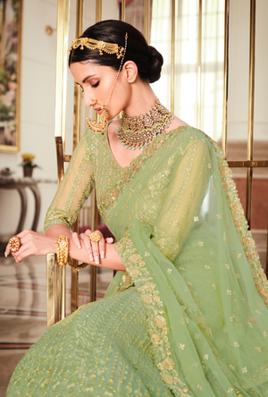 Green Lehenga Choli set