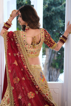 Multicolor Royal Lehenga Choli set