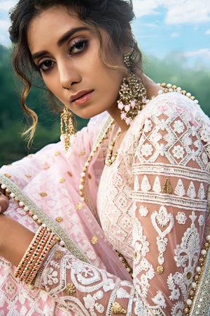 Pink Lehenga Choli