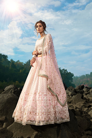 Pink Lehenga Choli