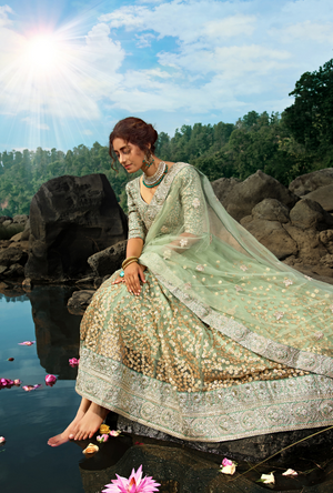 Green Lehenga Choli