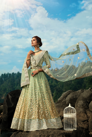 Green Lehenga Choli