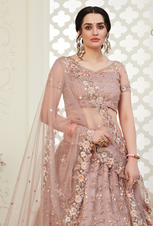 Dusty Pink Lehenga Choli