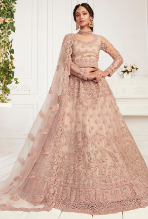 Light Pink Lehenga Choli