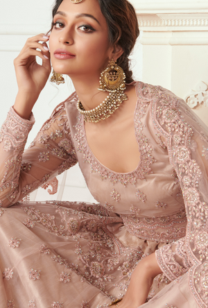 Light Pink Lehenga Choli