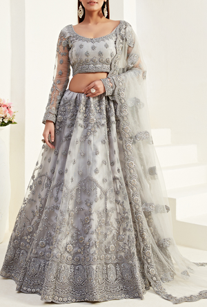 Silver Lehenga Choli