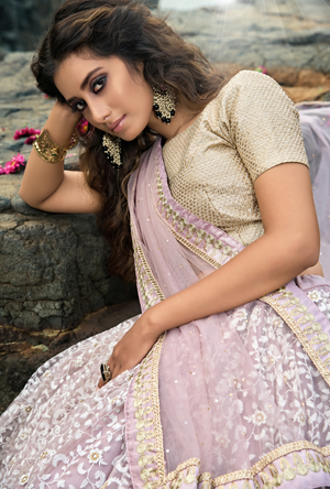 Lilac Lehenga Choli