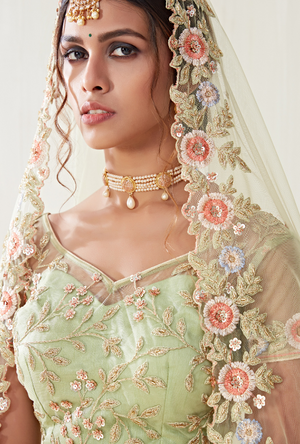 Pista Green Lehenga Choli