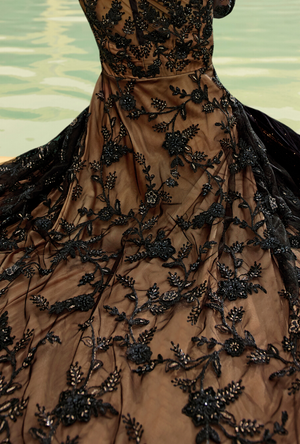 Black Party wear gown - Desi Royale