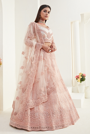 Light Pink Lehenga Choli