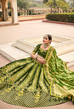 Green Lehenga Choli set