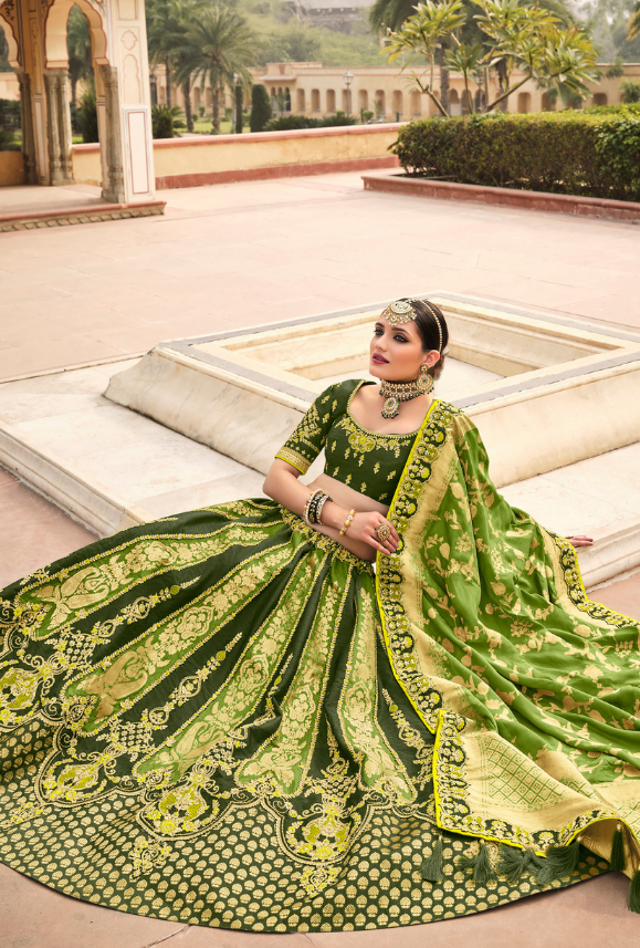 Green Lehenga Choli set