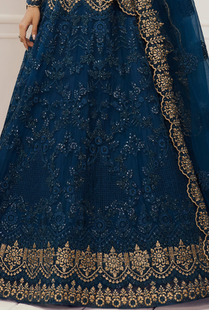 Blue Lehenga Choli