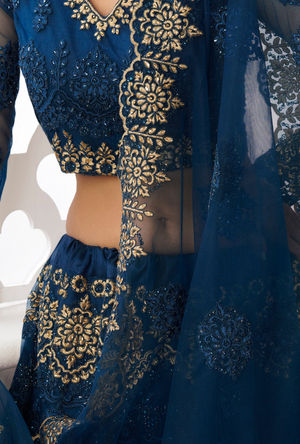 Blue Lehenga Choli