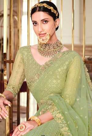 Green Lehenga Choli set