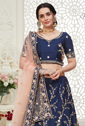 Blue Lehenga Choli