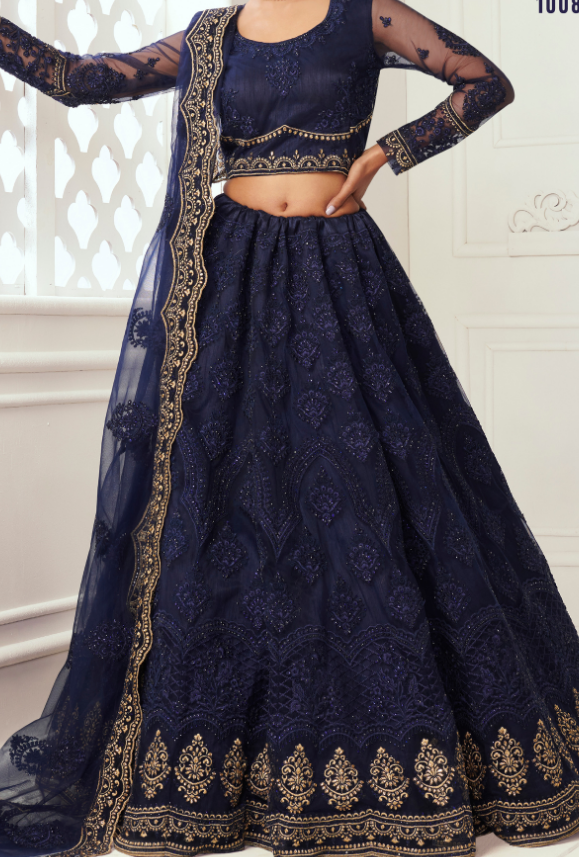 Blue Lehenga Choli