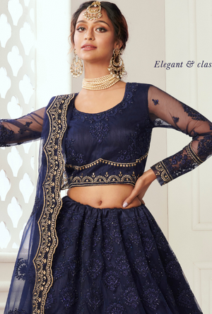 Blue Lehenga Choli