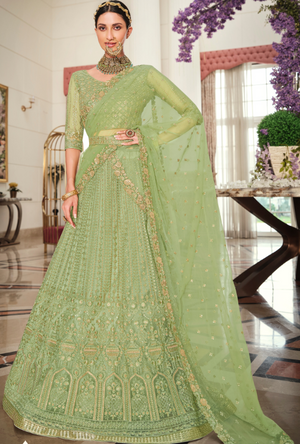 Green Lehenga Choli set