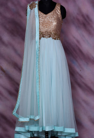 Blue Designer Party Wear Dress - Desi Royale